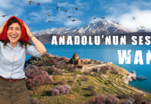 Harika’nın Sesi / WAN