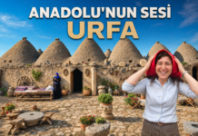 Harika’nın Sesi: Urfa