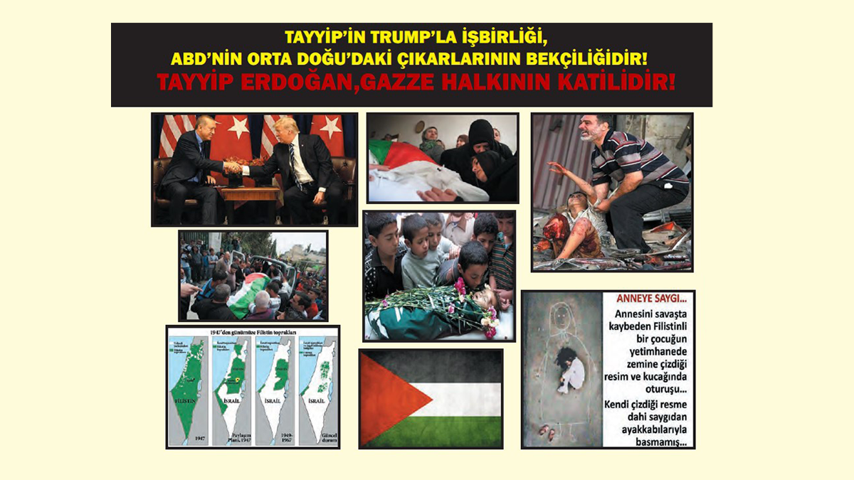 katil-tayyip-trump-filisitn