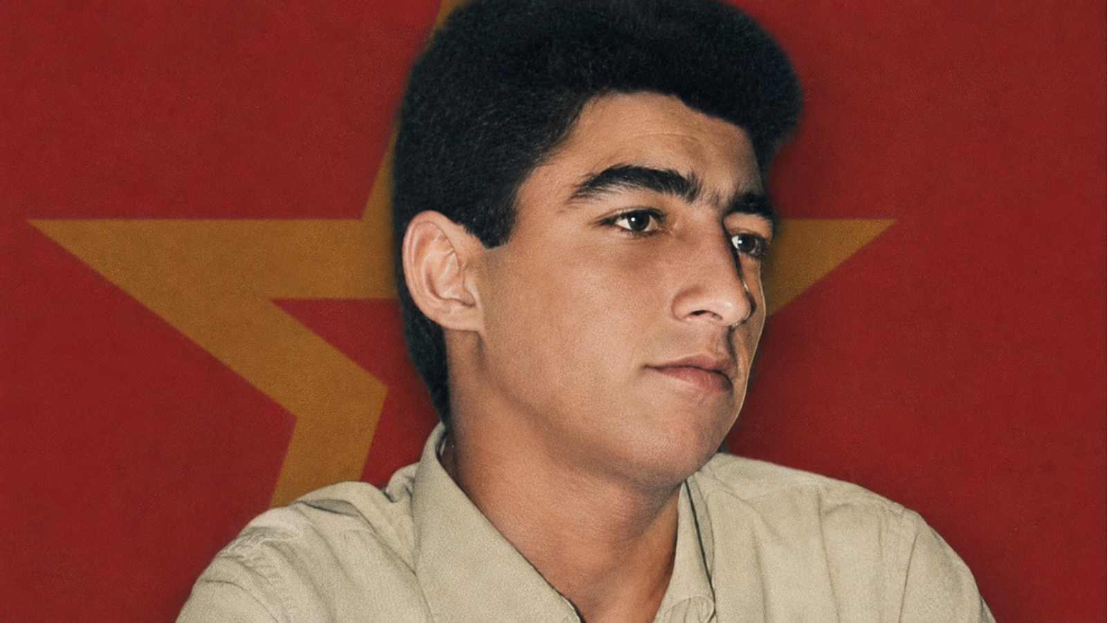 muratgül (4)